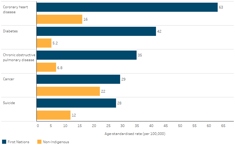 Age-standardised rates of potentially avoidable deaths, persons aged 0–74, by Indigenous status, cause of death, This bar chart shows that age-standardised rates of potentially avoidable deaths were higher for First Nations people than for non-Indigenous Australians for the 5 leading causes of death.