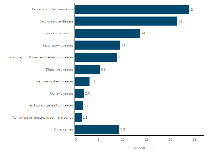 Leading broad causes of death for First Nations people, NSW, Qld, WA, SA and NT The bar chart shows that the top causes of deaths among First Nations people were cancer and other neoplasms (24%), cardiovascular disease (21%), injury and poisoning (14%), respiratory diseases (9.4%) and endocrine, nutritional and metabolic disorders (8.8%).
