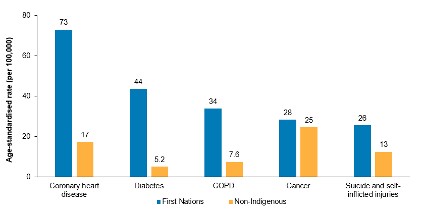 This column chart presents death rates for the five top causes of avoidable deaths for First Nations people, as well as the equivalent avoidable death rate for non-Indigenous Australians. The leading causes of avoidable deaths for First Nations people were coronary heart disease, diabetes, COPD, cancer and suicide and self-inflicted injuries. Rates were higher for First Nations people than non-Indigenous Australians for all 5 of these causes. 