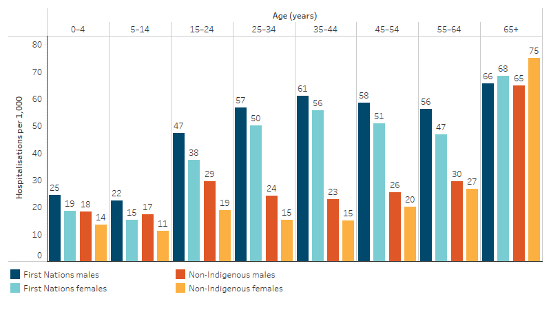Age-specific hospitalisation rates for a principal diagnosis of injury and poisoning, by Indigenous status and sex, Australia This bar chart shows that, for both First Nations males and females and non-Indigenous males and females, the rate of hospitalisation for a principal diagnosis of injury and poisoning was highest in the 65 and over age group (65 and 67 per 1,000 for First Nations males and females respectively, compared with 64 and 75 per 1,000 for non-Indigenous males and females respectively). The hospitalisation rate for both First Nations males and females was lowest in the 5–14 age group (22 per 1,000 and 15 per 1,000, respectively).