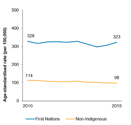 The line chart which shows that the rate of avoidable deaths declined between 2010 and 2019, from 328 per 100,000 to 323 per 100,000 for First Nations people, and from 114 to 98 for non-Indigenous Australians. 