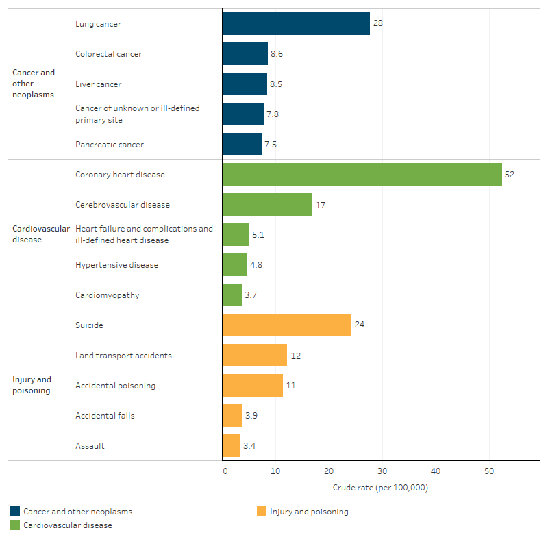 Top 3 broad leading causes of death for First Nations people, by specific cause, NSW, Qld, WA, SA and NT This bar chart presents specific causes of death within the top 3 leading cause groups for First Nations people. In the 5-year period 2019–2023, coronary heart disease was the leading specific cause of death for cardiovascular disease (52 deaths per 100,000), while lung cancer was the leading specific cause of death for cancer and neoplasms (28 deaths per 100,000). Suicide was the leading specific cause of death for the broad group of injury and poisoning (24 deaths per 100,000).