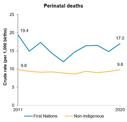 The first line chart shows that for First Nations people, the rate of perinatal deaths was highest in 2011 (19 per 1,000 live births) and generally decreased to a low in 2015 (12 per 1,000) before increasing in the years up to 2020 (17 per 1,000). The perinatal death rate among non-Indigenous Australians remained constant (around 9.8 deaths per 1,000 live births) over this period.