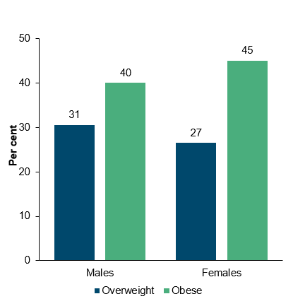 The first bar chart shows that, in 2018-19, a higher proportion of First Nations females were obese when compared with First Nations males (45% compared with 40%, respectively). However, a higher proportion of First Nations males were overweight than First Nations females (31% compared with 27%).